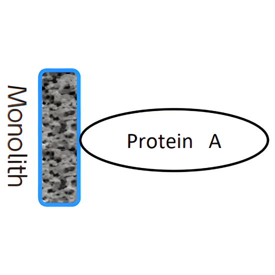 MonoSpin ProA Spin Column